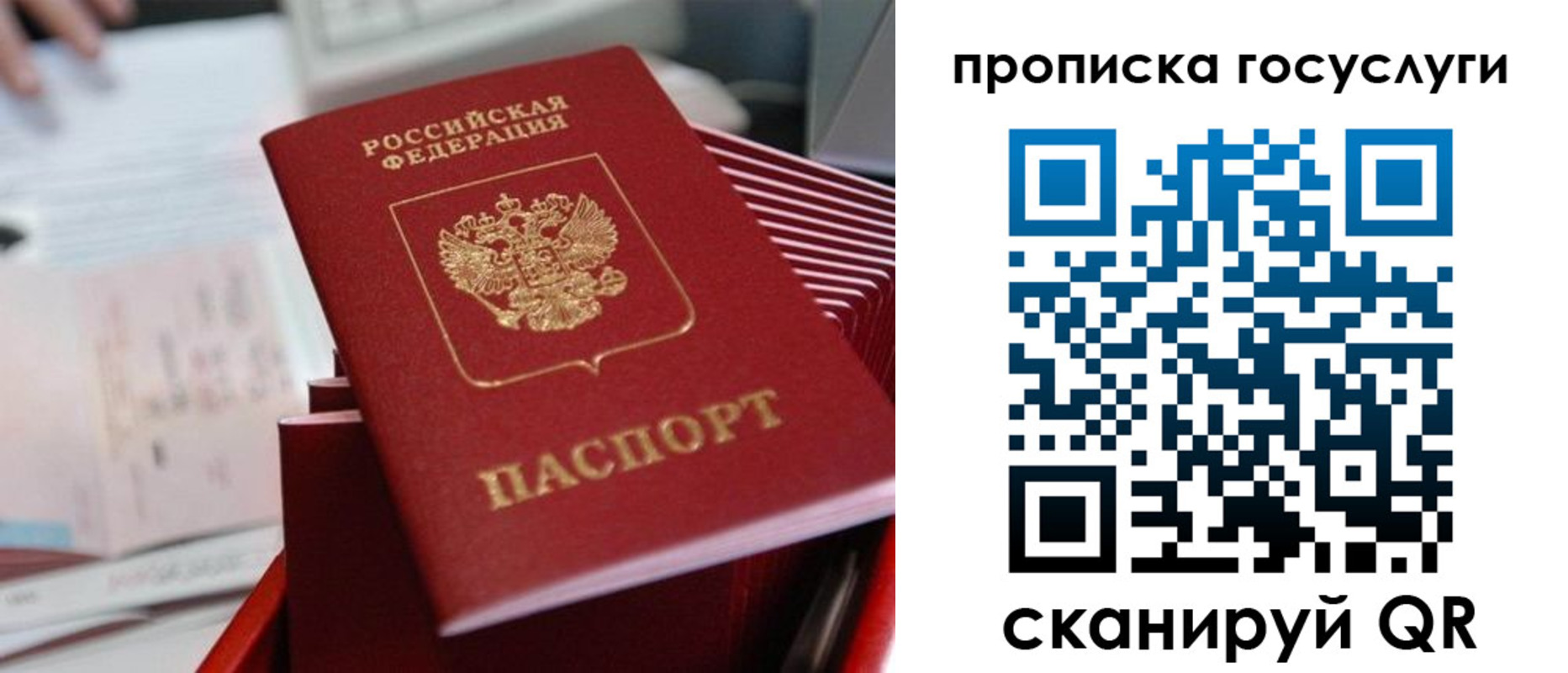 прописка законно в Гороховце